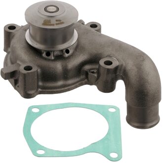 Ford Waterpomp 08134