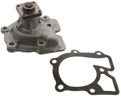 Ford Waterpomp 17019