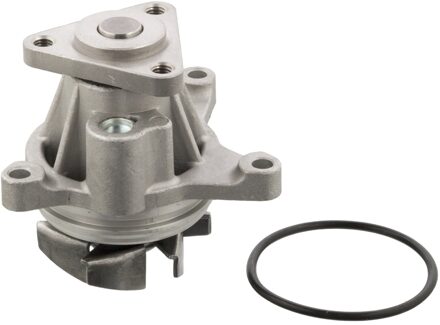 Ford Waterpomp 22251