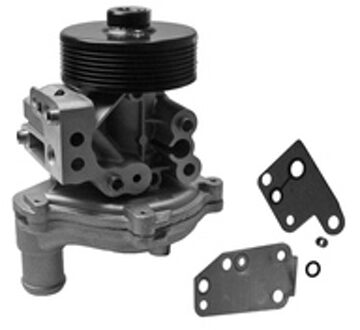 Ford Waterpomp 538026710