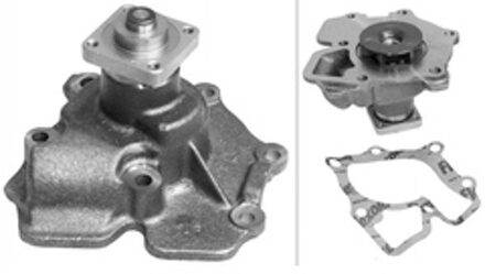 Ford Waterpomp 538028310