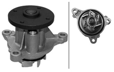 Ford Waterpomp 538066810