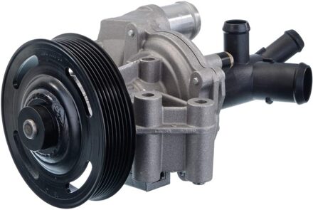 Ford Waterpomp 702676020