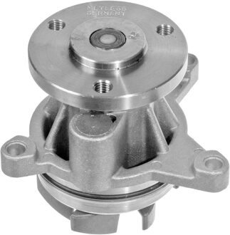 Ford Waterpomp 7132200005