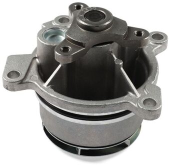 Ford Waterpomp, motorkoeling P275