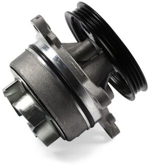 Ford Waterpomp, motorkoeling P285