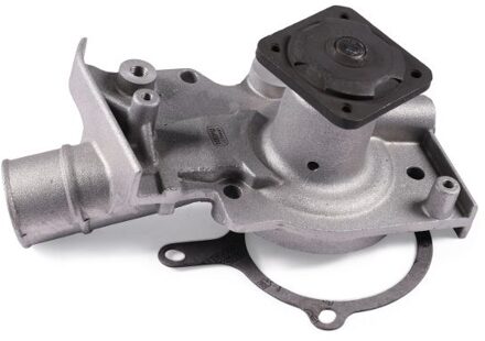 Ford Waterpomp P216