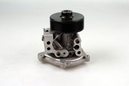 Ford Waterpomp P259