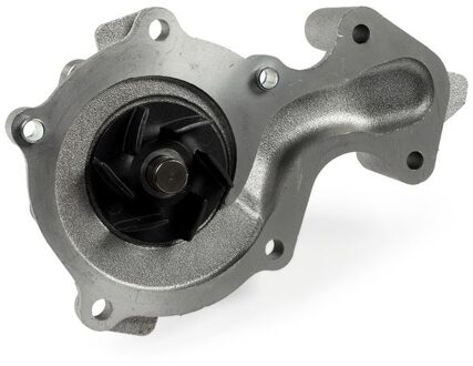 Ford Waterpomp P261