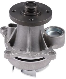 Ford Waterpomp P272