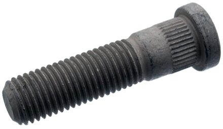 Ford Wielbout 100166