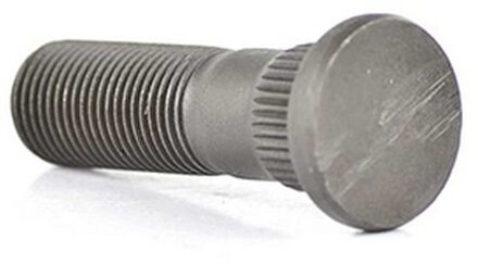 Ford Wielbout BSG30230013