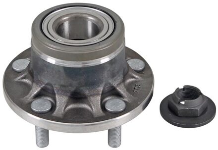 Ford Wielnaaf 200968