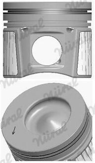 Ford Zuiger 8743700010