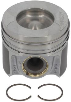 Ford Zuiger 8745290700