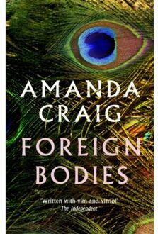 Foreign Bodies - Amanda Craig
