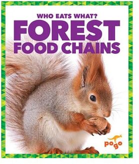 Forest Food Chains