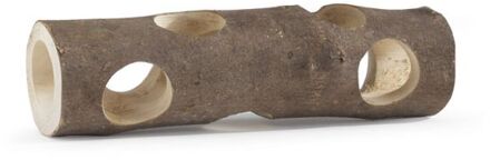 Forest - holle boomstam - 20x32