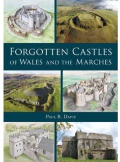 Forgotten Castles Of Wales And The Marches - Paul R. Davis