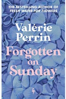 Forgotten On Sunday - Valerie Perrin