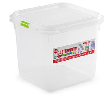 Forte Plastics 1x Diepvries/Koelkast vershoudbakje met stevige deksel 2.6 liter 16 x 17,8 x 16 cm- Luchtdicht afgesloten