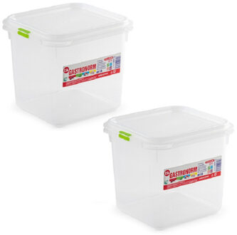 Forte Plastics 3x diepvries vershoudbakje met stevige deksel 2.6 liter 16 x 17,8 x 16 cm - Vershoudbakjes Transparant