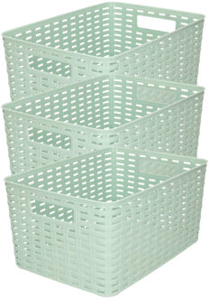 Forte Plastics 3x Stuks Rotan Gevlochten Opbergmand/opbergbox Kunststof - Mintgroen - 22 X 33 X 16 Cm - Opbergbox