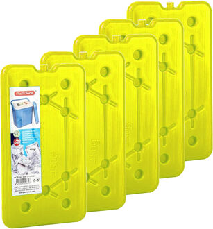 Forte Plastics Plasticforte koelelementen 200 gram - 5x - 11 x 16 x 1.5 cm - groen - voor koelbox en koeltas - Koelelementen