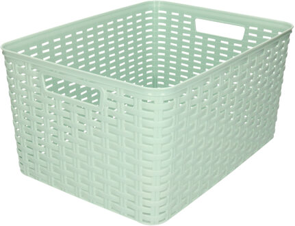 Forte Plastics Plasticforte Opbergmand - Kastmand - rotan kunststof - mintgroen - 18 Liter - 29 x 39 x 20 cm - Opbergmanden