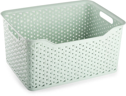 Forte Plastics Plasticforte opbergmand/kastmandje - 18 liter - mintgroen - kunststof - 29 x 39 x 19 cm - Opbergmanden
