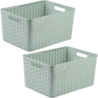 Forte Plastics Plasticforte opbergmand/kastmandje - 2x - 18 liter - mintgroen - kunststof - 28 x 38 x 19 cm - Opbergbox