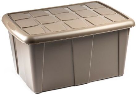 Forte Plastics Plasticforte Opslagbox met deksel - Beige - 60L - kunststof - 63 x 46 x 32 cm - Opbergbox