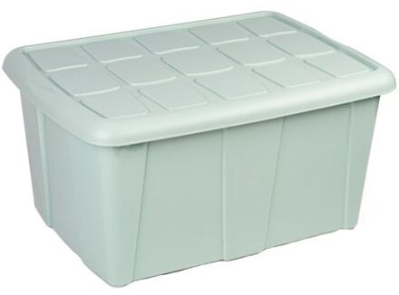 Forte Plastics Plasticforte Opslagbox met deksel - Mintgroen - 60L - kunststof - 63 x 46 x 32 cm - Opbergbox