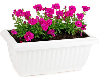 Forte Plastics Plasticforte Plantenpot/bloempot Windsor - buiten - kunststof - wit - L33 x B18 x H15 cm - Plantenpotten