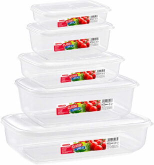 Forte Plastics Set van 15x stuks diepvries vershoudbakjes met stevige deksel in 5x verschillende formaten - Voedsel bewaarbakjes