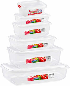 Forte Plastics Set van 21x stuks diepvries vershoudbakjes met stevige deksel in 6x verschillende formaten