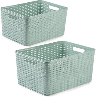 Forte Plastics Set van 5x stuks opbergboxen/opbergmandjes rotan mintgroen kunststof