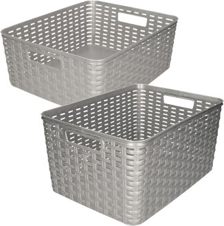 Forte Plastics Set van 5x stuks opbergboxen/opbergmandjes rotan zilver kunststof