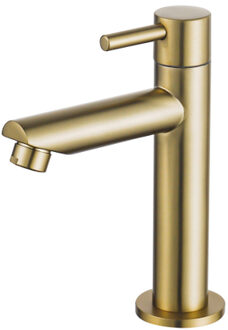 FortiFura Calvi Fonteinkraan - 15.4cm - opbouw - 1gats - Geborsteld Messing PVD (Goud) SW696238 Messing geborsteld (goud)