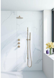 FortiFura Nebbio Regendoucheset - inbouwkraan - inbouwdeel - glijstang - doucheslang glad - staafhanddouche - 35cm wandarm - ronde hoofddouche - geborsteld messing PVD (goud) SW1183067 SW1111531 SW728176 SW720570 SW720562 SW1 Messing geborsteld (goud)