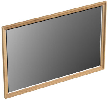 Forzalaqua Spiegel Forzalaqua Reno 120x2x80 Cm Eiken Smoke