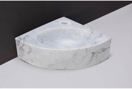 Forzalaqua Turino hoekftontein 30x30x10cm 1 kraangat zonder kraan natuursteen Carrara gepolijst 100429 Carrara Gepolijst (Grijs)