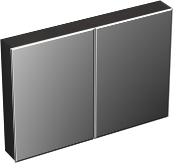 Forzalaqua Uni spiegelkast 100x70cm met 2 deuren black oiled