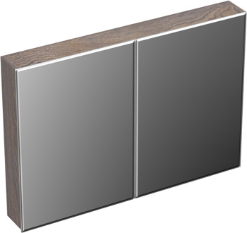 Forzalaqua Uni spiegelkast 100x70cm met 2 deuren silver grey