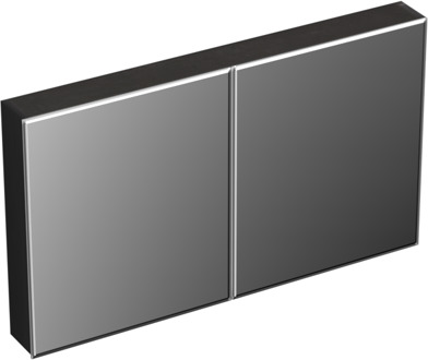 Forzalaqua Uni spiegelkast 120x70cm met 2 deuren black oiled