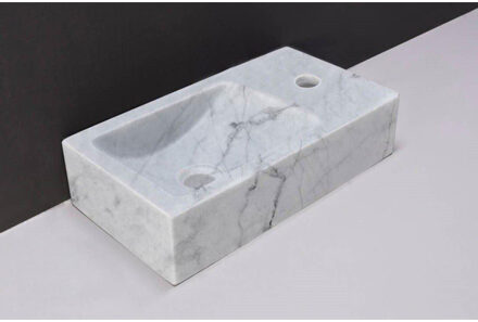 Forzalaqua Venetia fonteinbak 40x22x10cm wasbak links 1 kraangat rechts Natuursteen Carrara gepolijst 100430 Carrara Gepolijst (Grijs)