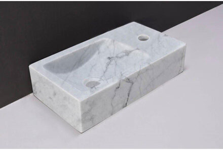 Forzalaqua Venetia fonteinbak 40x22x10cm wasbak links 1 kraangat rechts Natuursteen Carrara gepolijst 100430