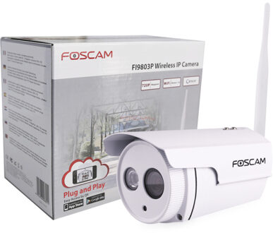 Foscam ip-camera FI9803P HD (Outdoor Camera) zilver