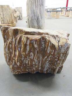Fossiel hout C16