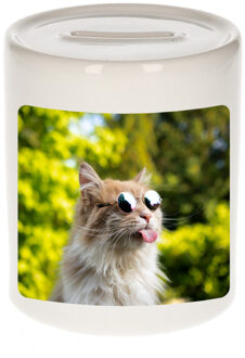 Foto gekke poes spaarpot 9 cm - Cadeau katten liefhebber - Spaarpotten Multikleur